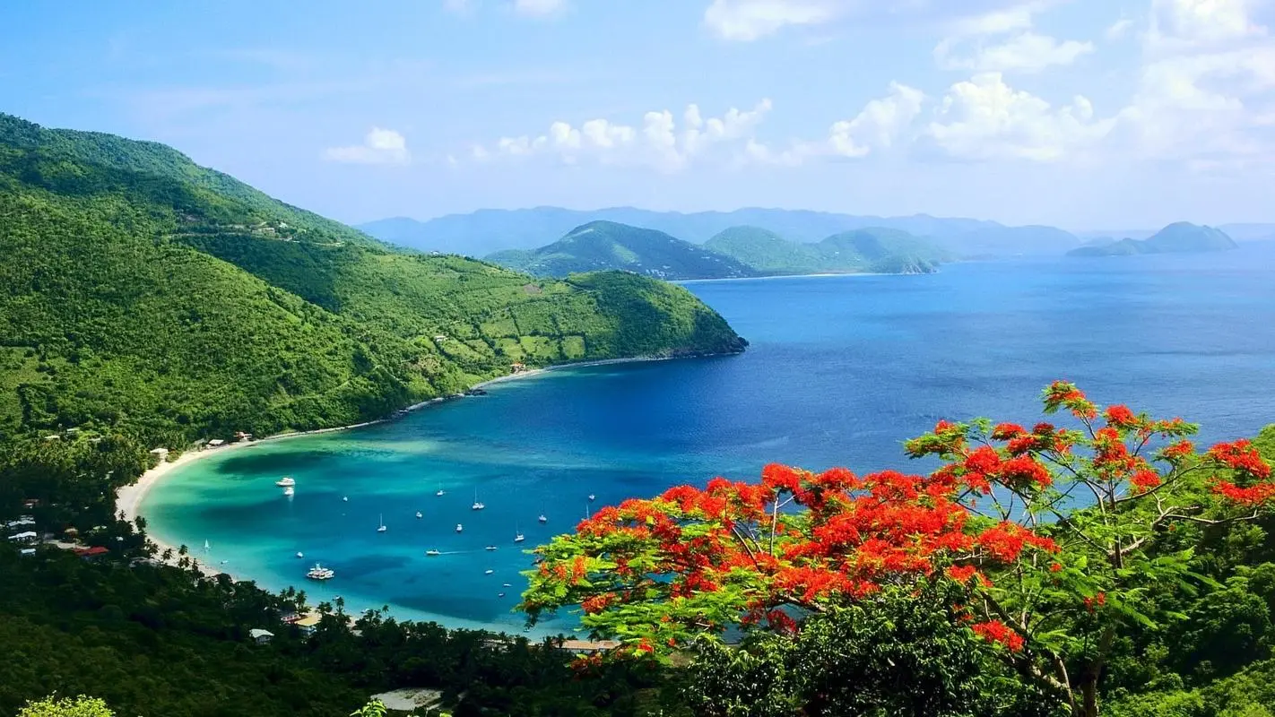高端绿色精密